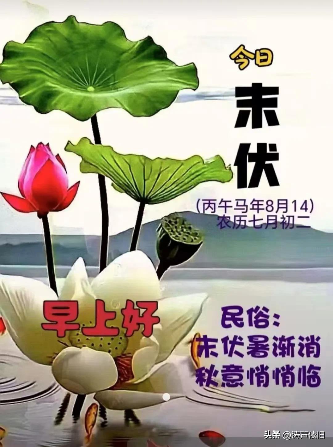 《卜算子·末伏秋晨》

末伏暑将阑，
浅酌秋声早。
晨起休贪冷食寒，
温水滋清燥