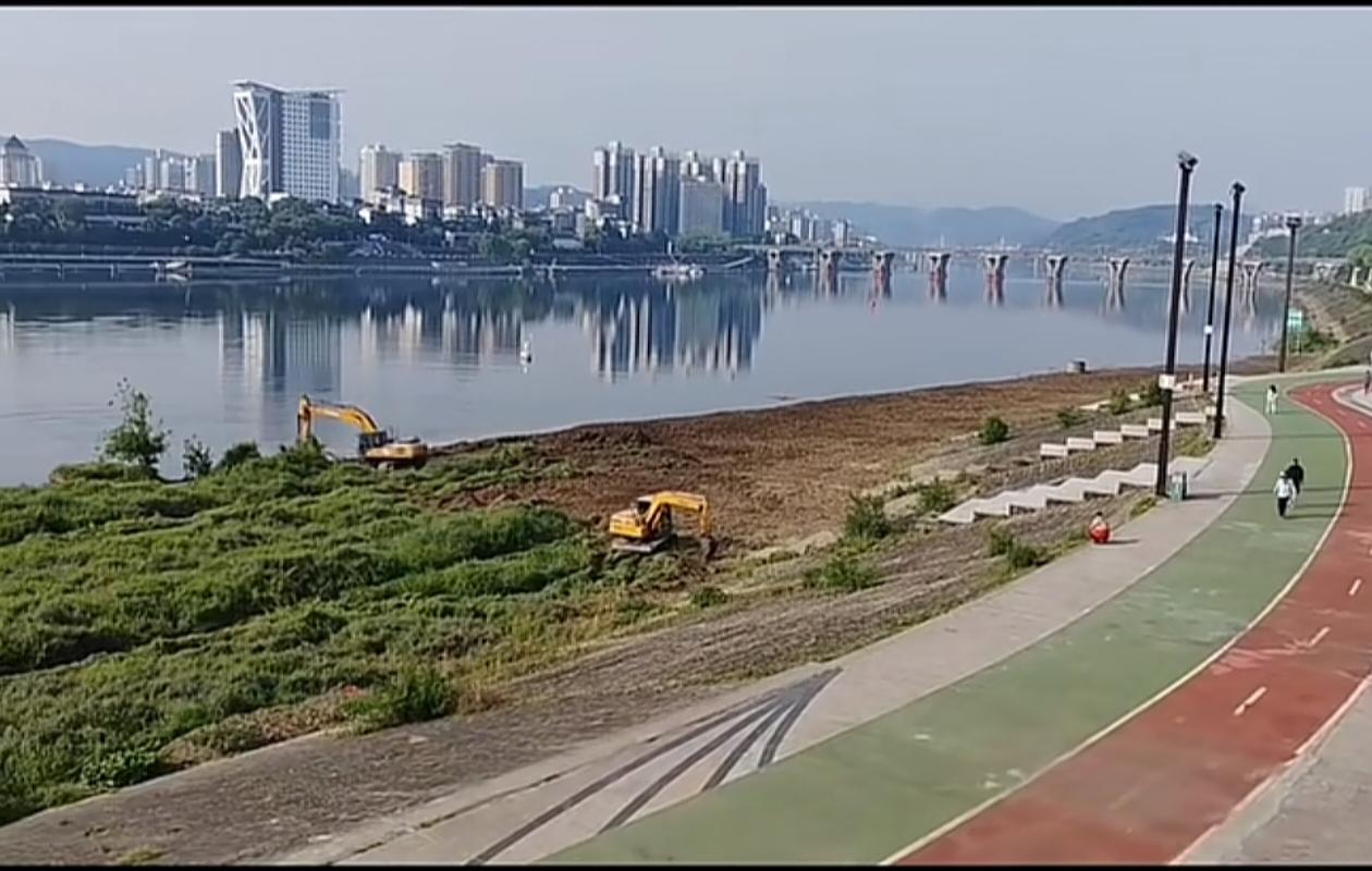 安康江北亲水广场下面挖机轰鸣，正在清理江边“绿洲”，猜猜这里会做什么呢？莫不是要