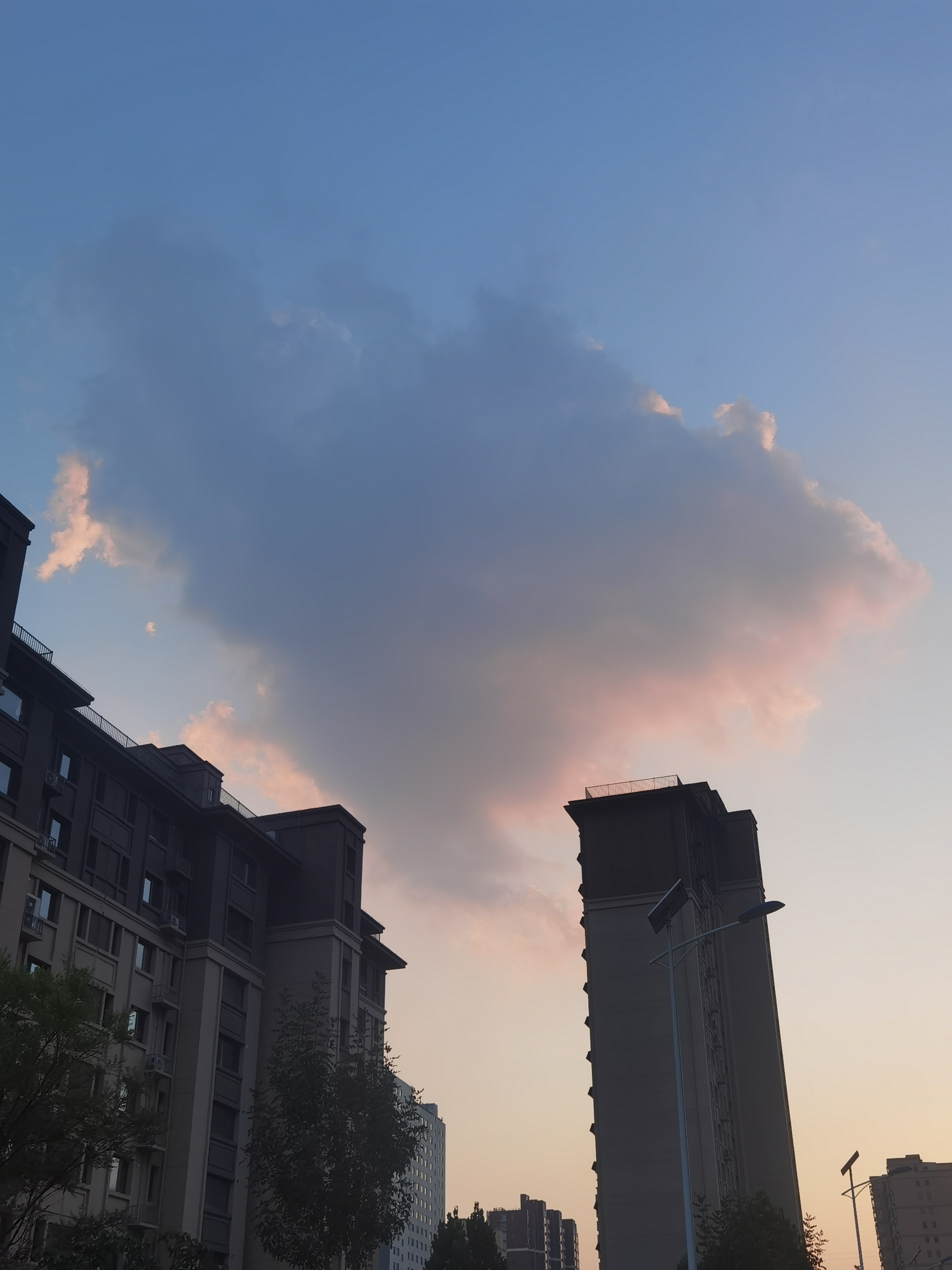 此刻的动漫云 