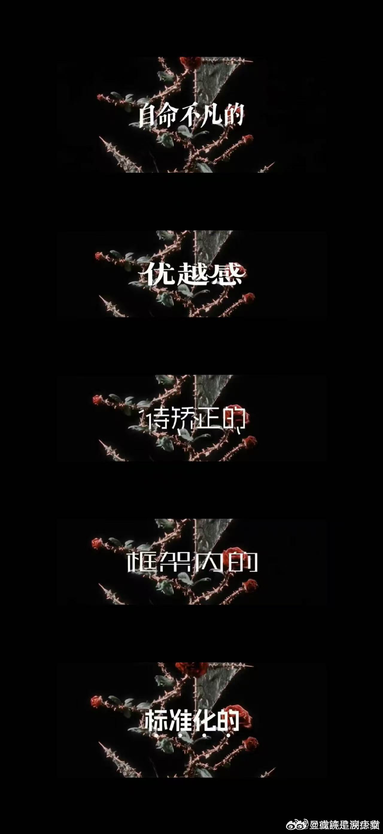 马嘉祺字体选的也很有考究 优秀的创作讲究整体性，马嘉祺深刻明白这一点。不会只顾主