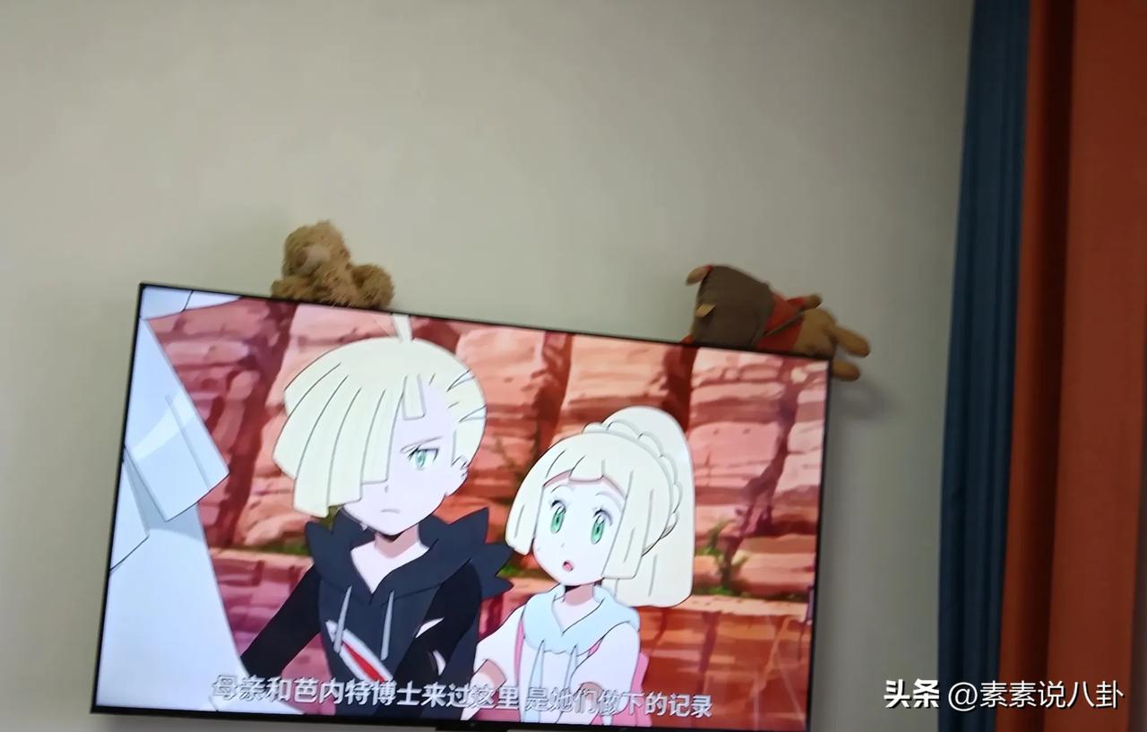 暑假怎么办？不知道如何管娃了。不听话，整天抱着电视机，平板。

这个暑假，太热了