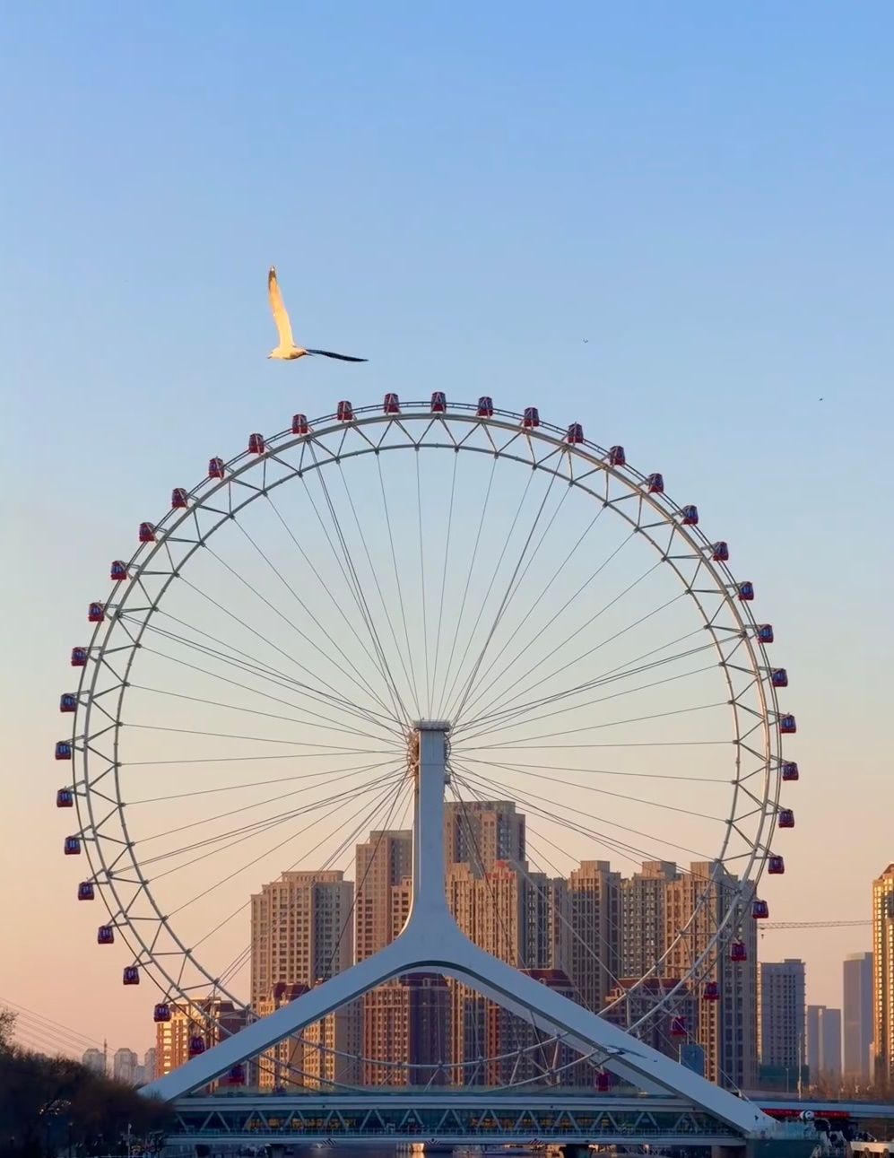 感受零下冬日🕊️  