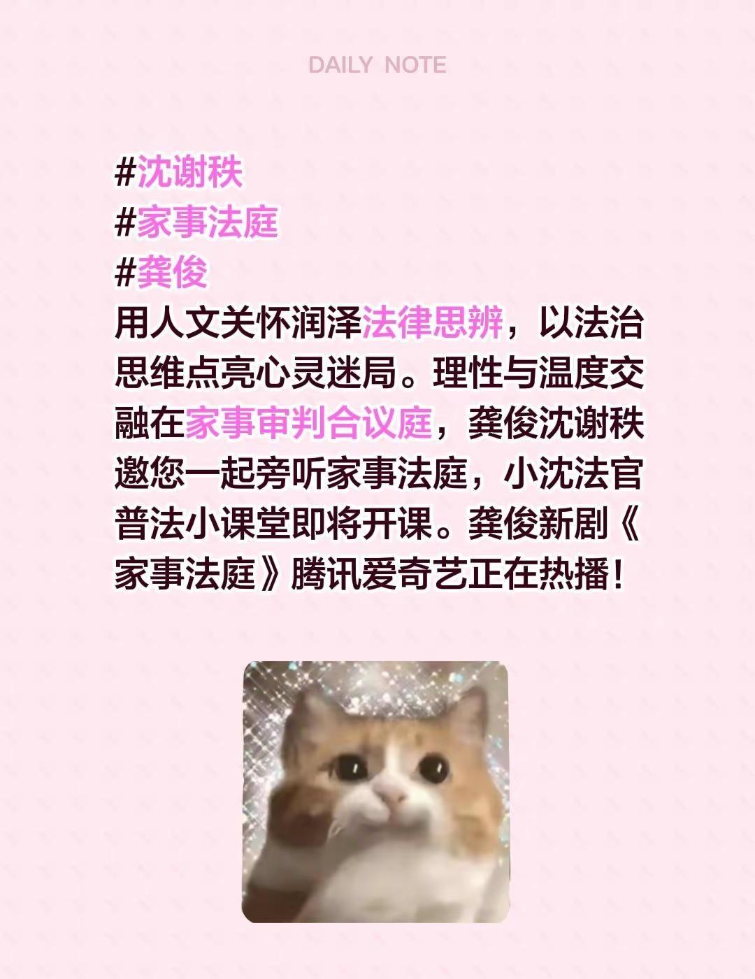沈谢秩家事法庭龚俊用人文关怀润泽法律思辨，以法治思维点亮心灵迷局。理性与温度交融