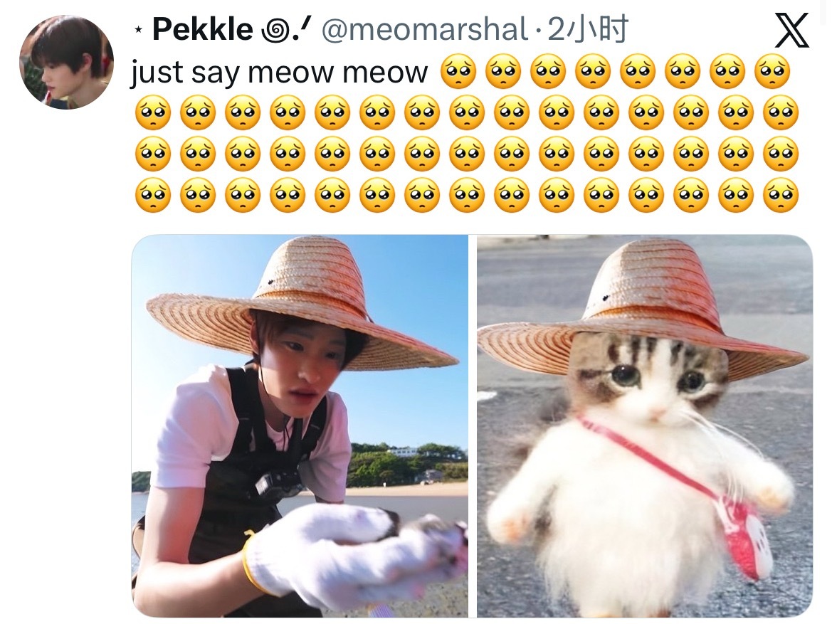 吸收炤咪能量🥺🫳 