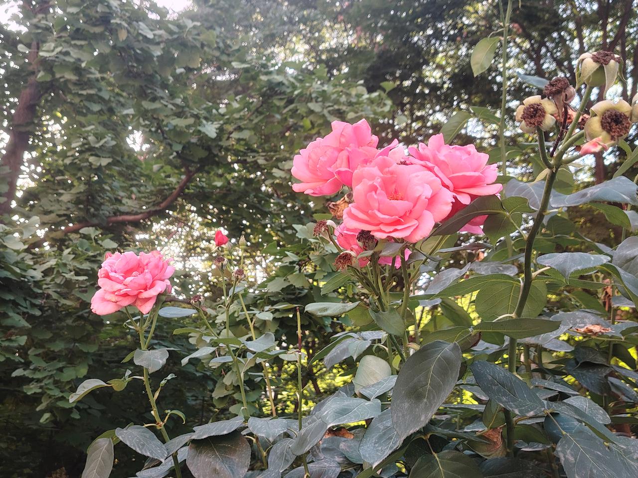 内心觉醒后，才看透人生的本质
 
经历世事慢慢醒悟，人的觉醒，从来不在轰轰烈烈里