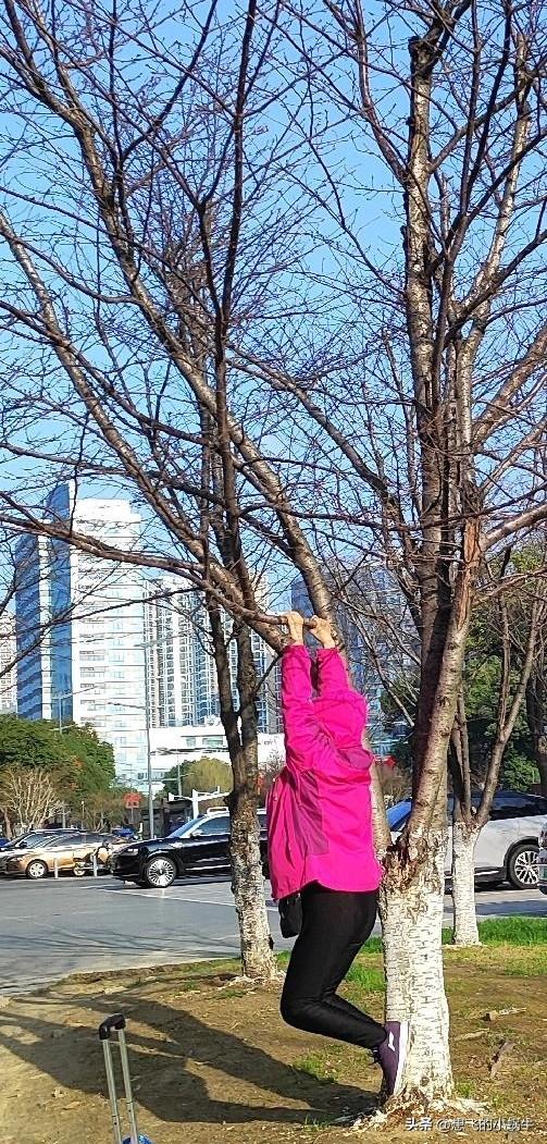 枯藤老树昏鸦，小树枝上挂个大妈[晕]对于近视的我来说，真被她吓到了[泣不成声][