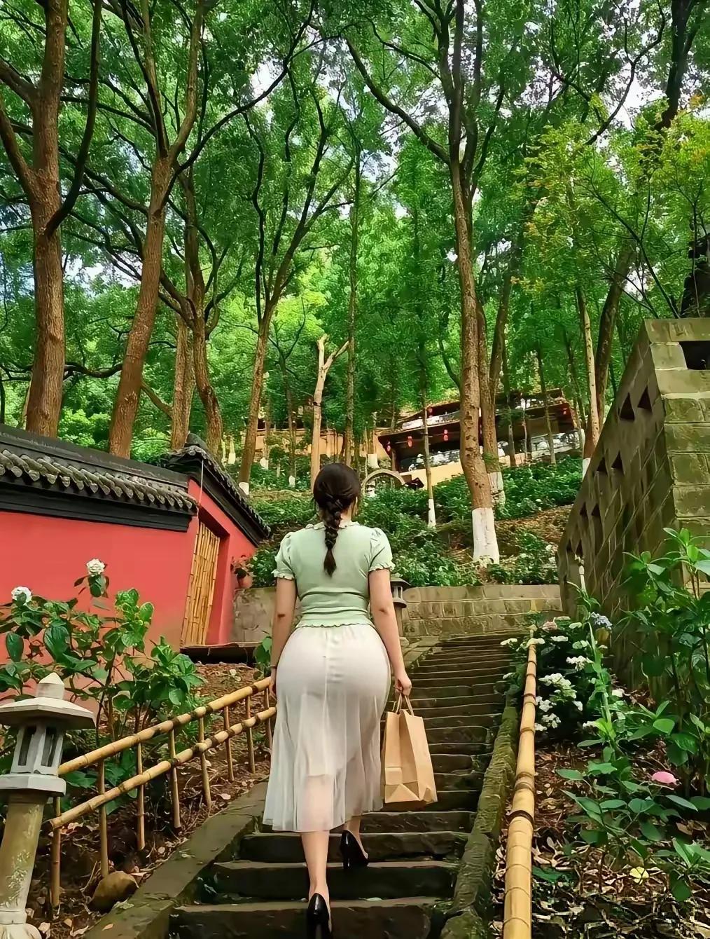 寺庙景色
庭院深深，几株苍劲的松柏与娇艳的春花相互映衬，刚柔并济，红墙灰瓦在蓝天