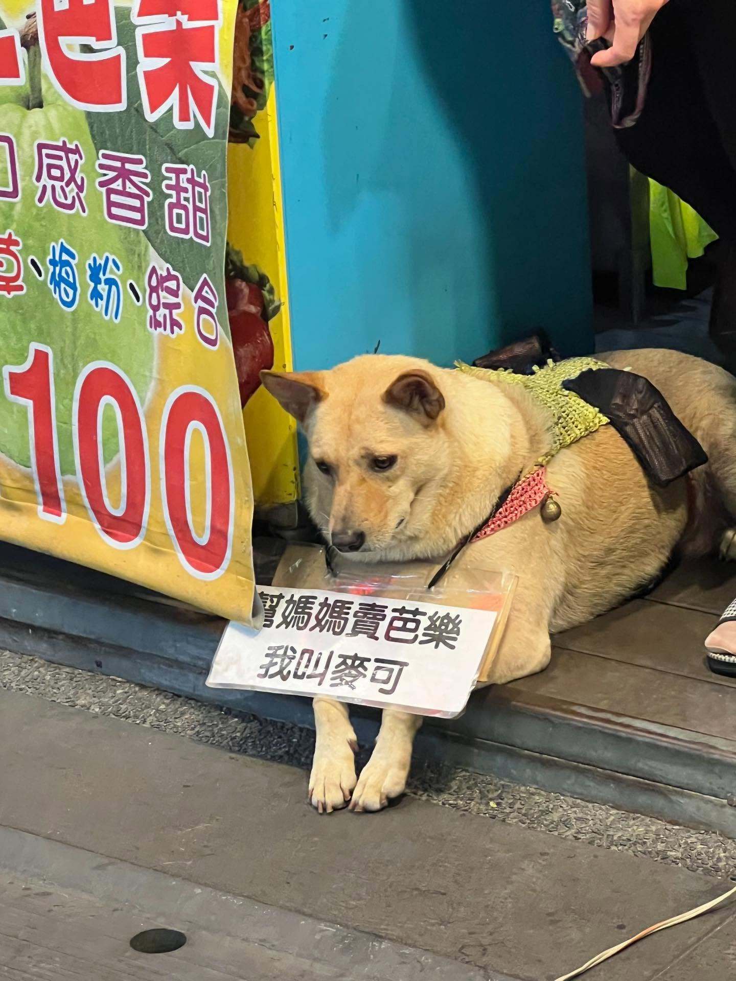 可怜Mike捏~meme ​​​