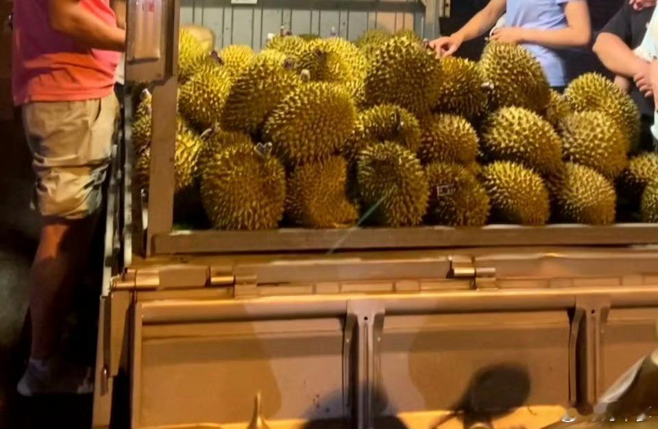 榴莲降价没有最低只有更低榴莲在持续地跳水。那沉甸甸的果实，不再昂贵如金，价格一次