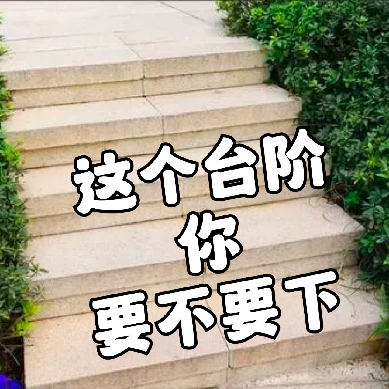 好用表情包合集 ​​​