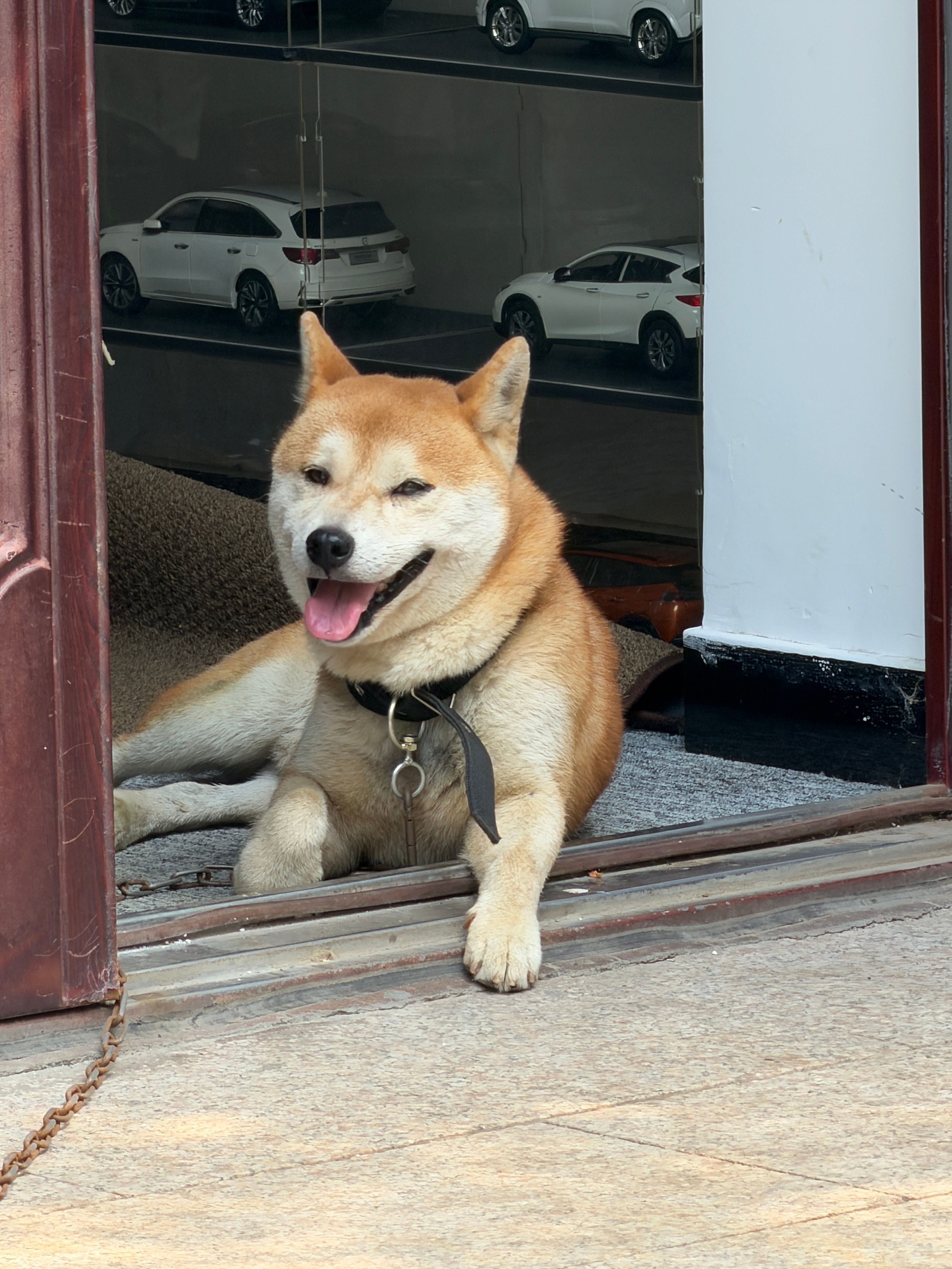 黑色Freelander挺帅 