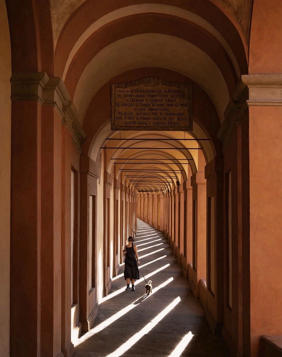 很喜欢的一段话：“人生没有幸不幸福，只有知不知足，温饱无忧是幸事，无病无灾是福泽