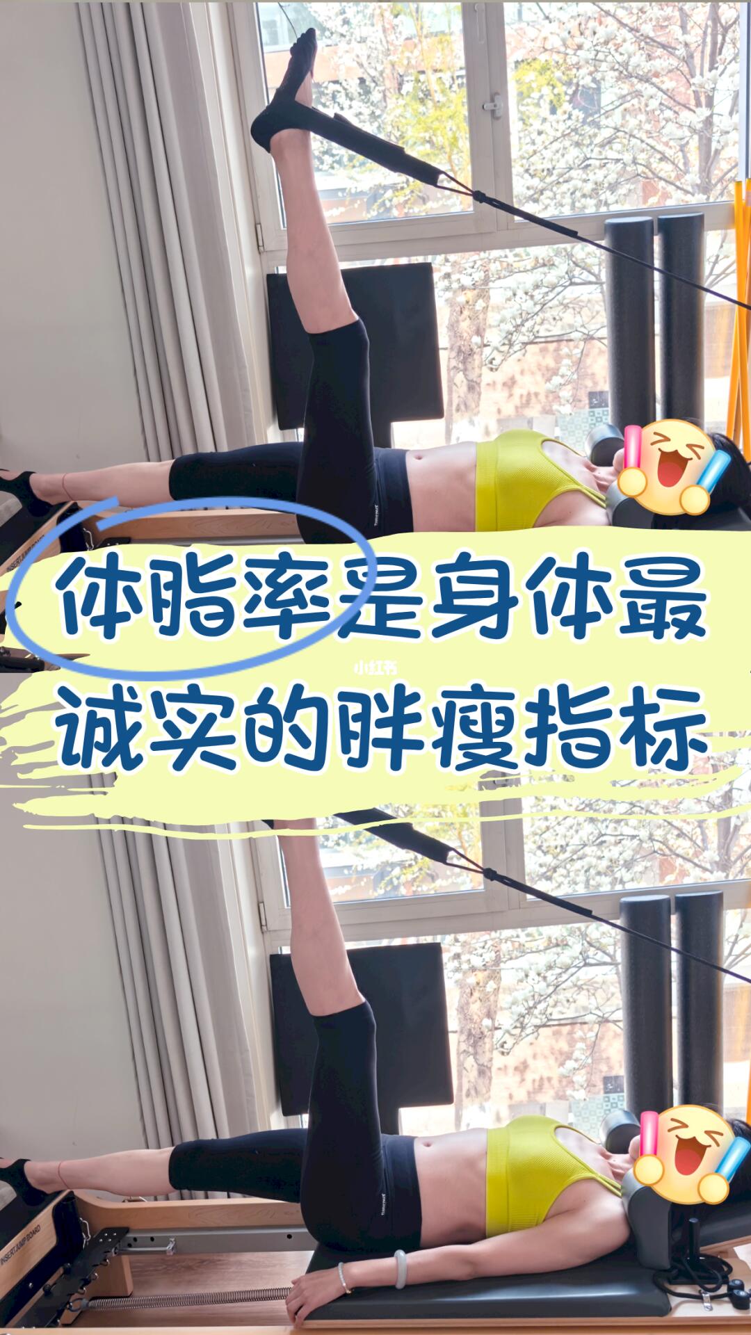 体脂率是身体最诚实的胖瘦指标