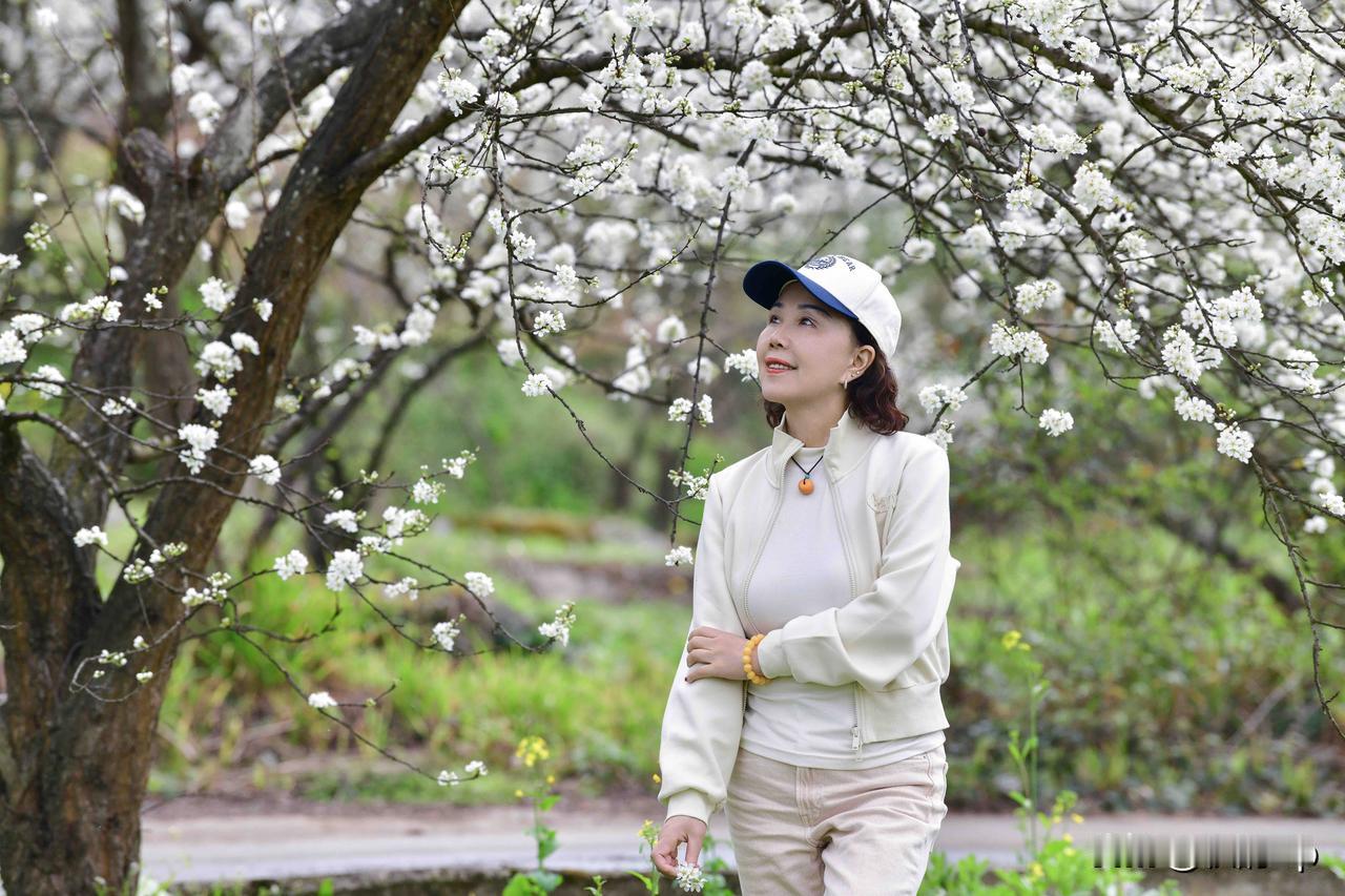 四月你好，拥抱春天！
四月芳菲，繁花满枝，岁月温柔，美好如期而至！