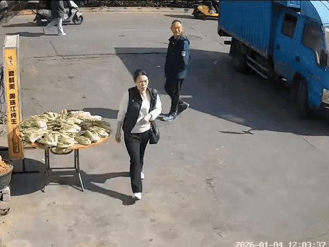 以为他要拿几棵菜走。