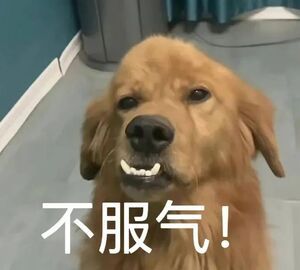 #这一届父母在焦虑什么#带娃该把孩子带的彬彬有礼谦和忍让还是该教育的厉害一点？今