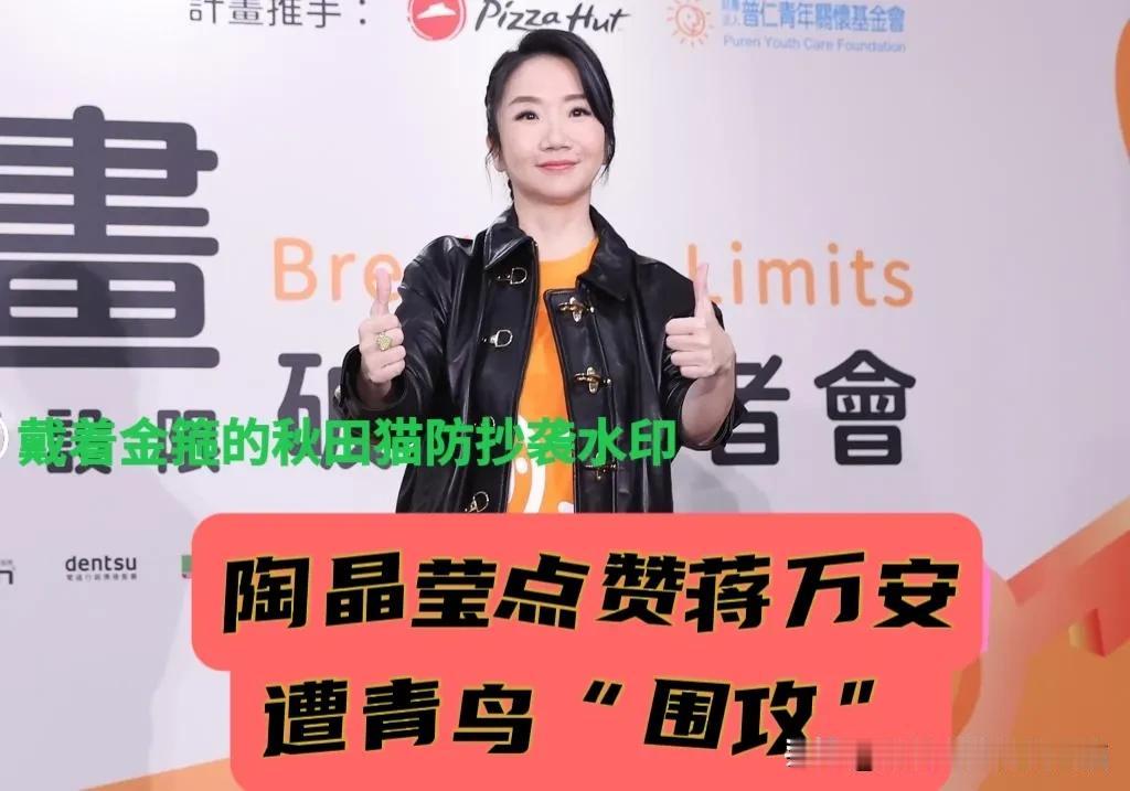 著名歌手陶晶莹点赞蒋万安凯道提议，竟然被青鸟侧翼攻击，蓝营民代、岛内民众紧急声援