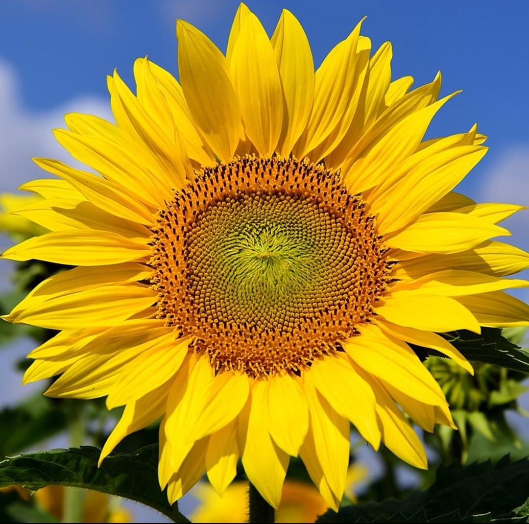 ＃每日分享一句人生感悟＃
       别人眼中的光鲜是无数暗夜的挣扎，成长不是