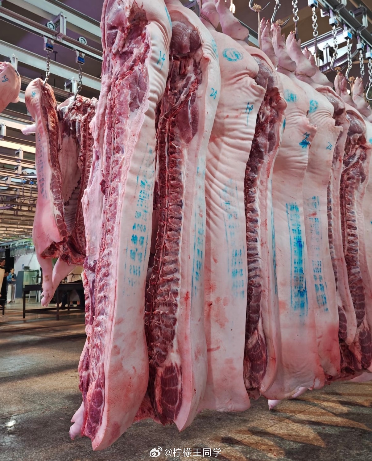 山姆回应所售鲜猪肉是数月前屠宰不是我替山姆说话，现在菜市场的大部分猪肉也都是冻猪