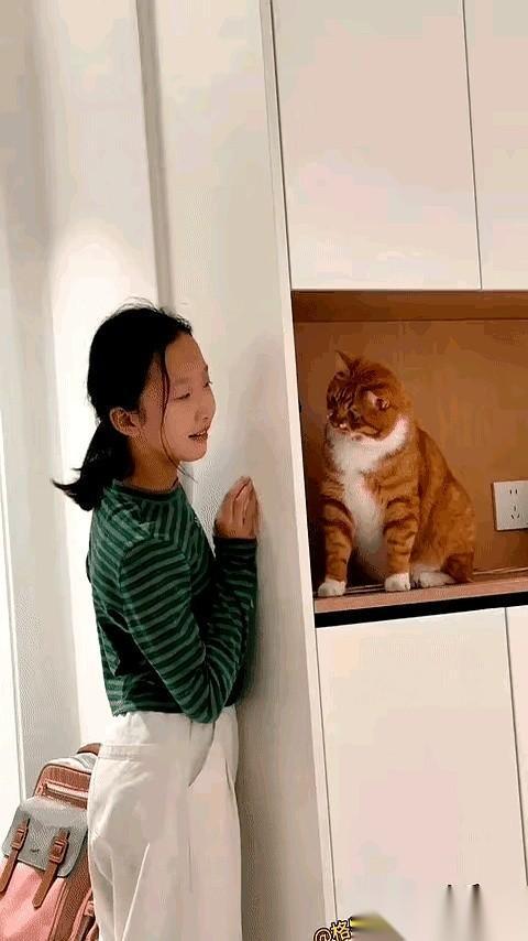 有些事，从一开始就注定了结局。
比如，你跟一只猫玩儿「躲猫猫」。
你以为自己藏得