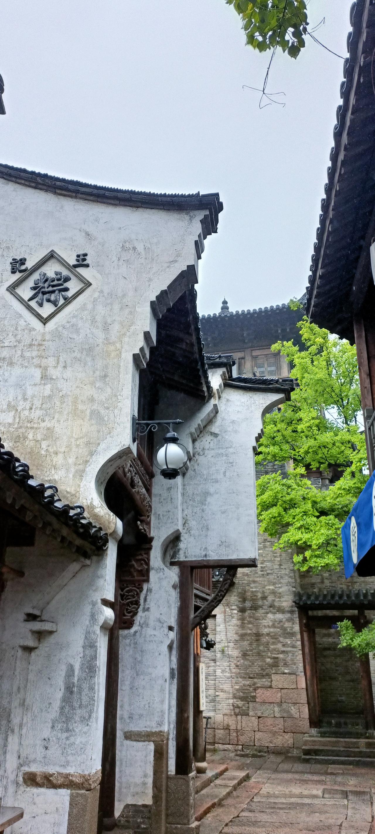 古朴的青石小巷，绿树掩映，仿佛穿越回千年前的江南水乡。
古色古香的巷子，很有江南