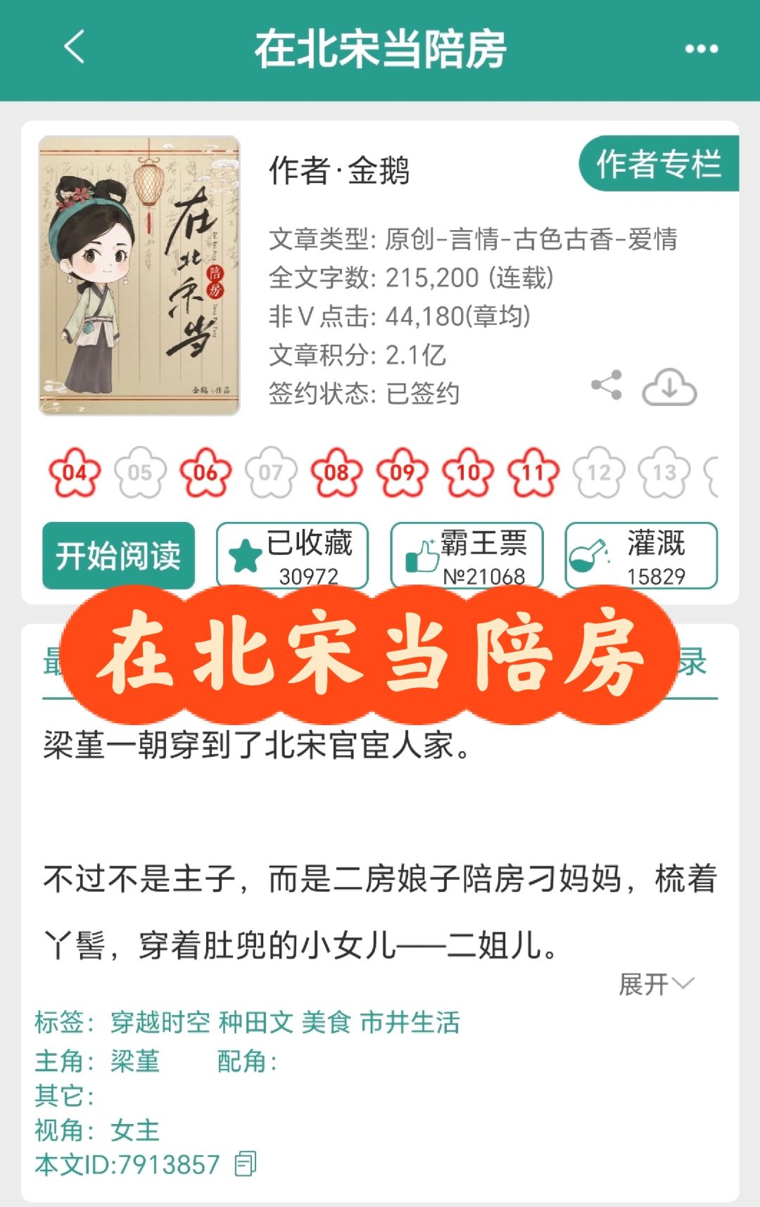 《在北宋当陪房》，女主穿越成励志丫头