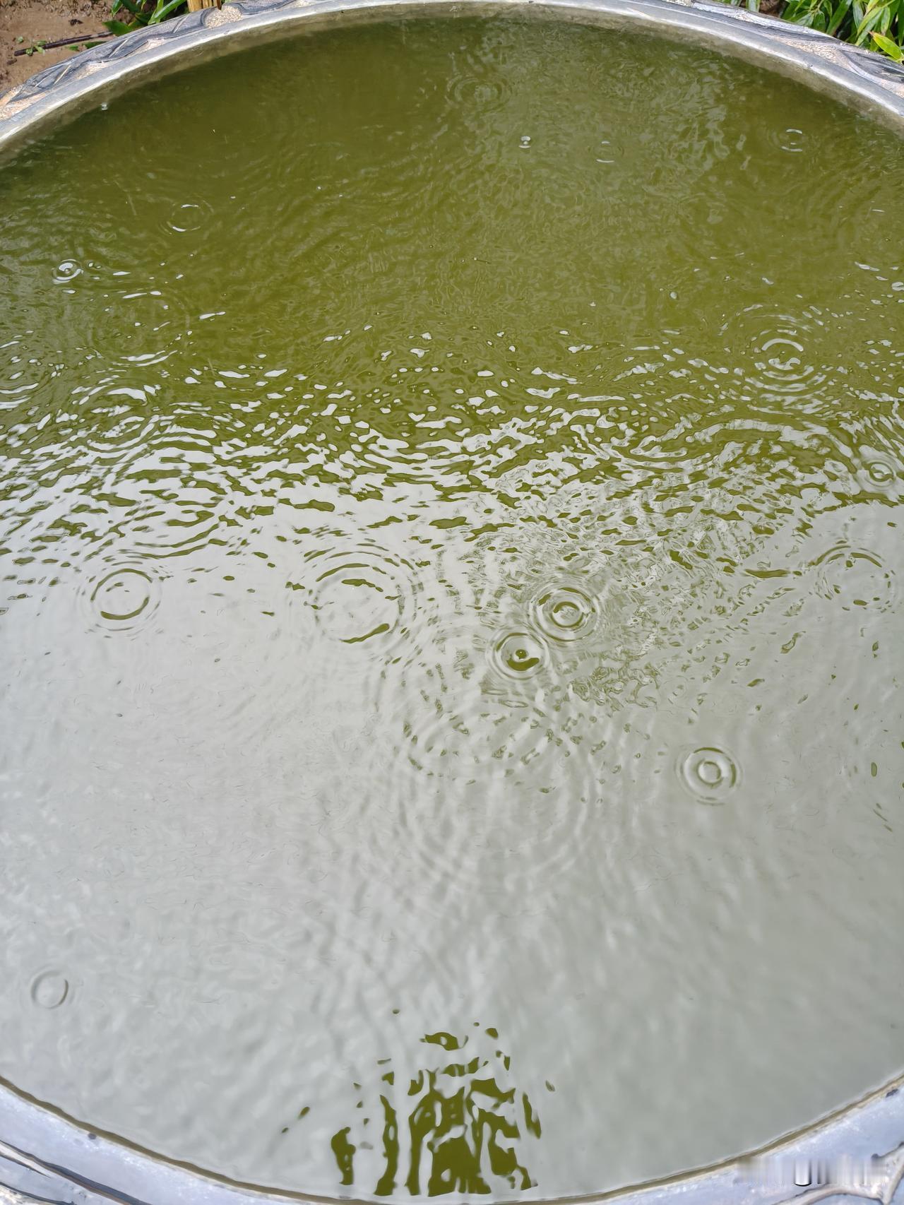 今天回家下雨了，骑电动车去的，回来的时候大嫂跑到家给我拿的雨衣，还给我披上，瞬间