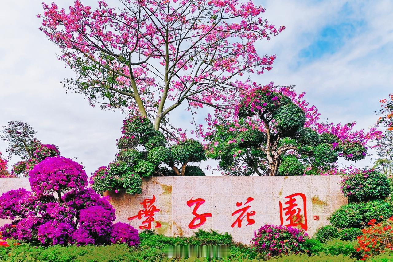 绿城南宁南宁的冬日，青秀山叶子花园宛如梦幻仙境。三角梅绚烂绽放，玫红热烈似火，浅