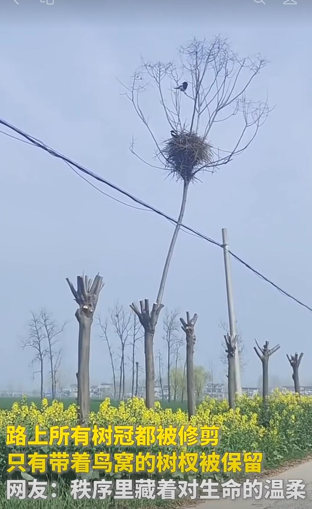 万物有灵和谐共生