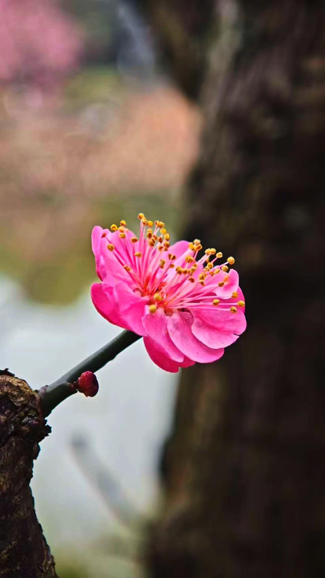 它和房地产、外包行业关系不大，核心对接能源、国家电网、轨道交通、军工等领域，制造