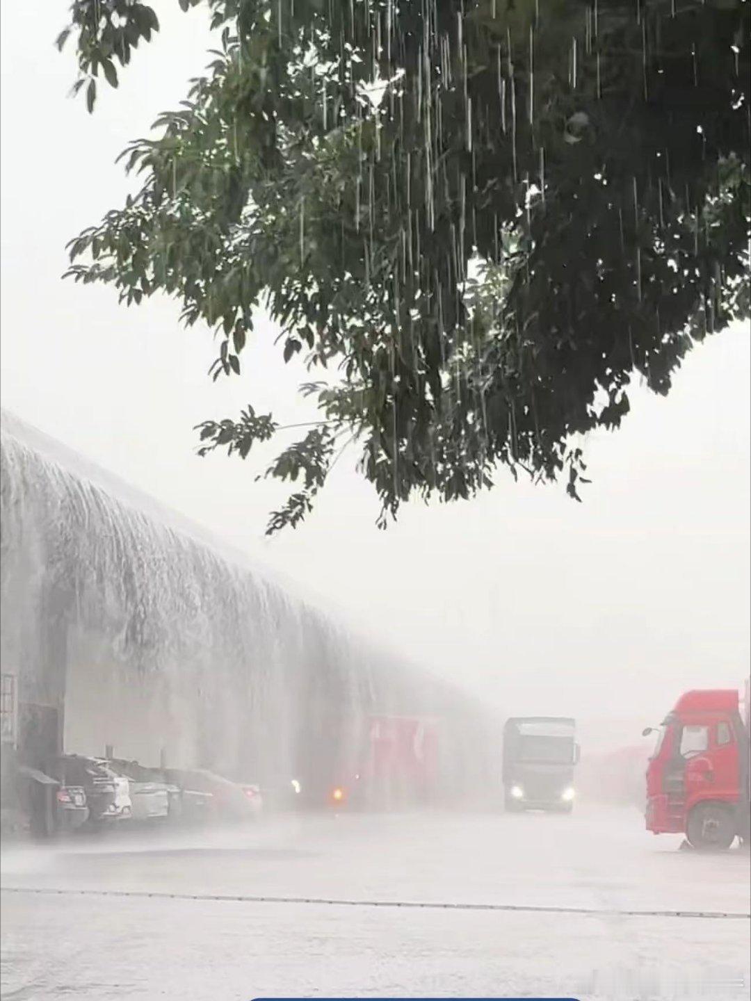 广东人被雷雨暴击了 广东又到了熟悉的季节，雷雨不断上线，可酷暑并没有退场。一场雨
