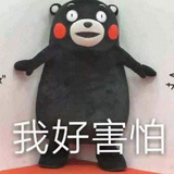 施秋爱读社会