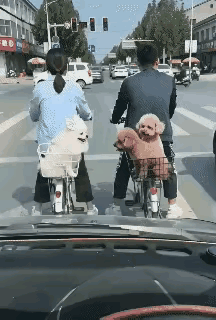 拈花惹草，被当场抓包！
家花没有野花香！
看你以后还敢不敢？！