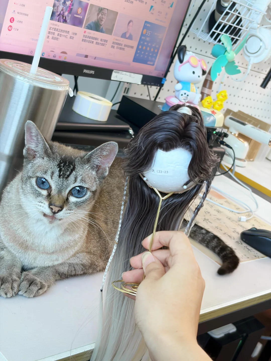 暹罗猫色and暹罗猫