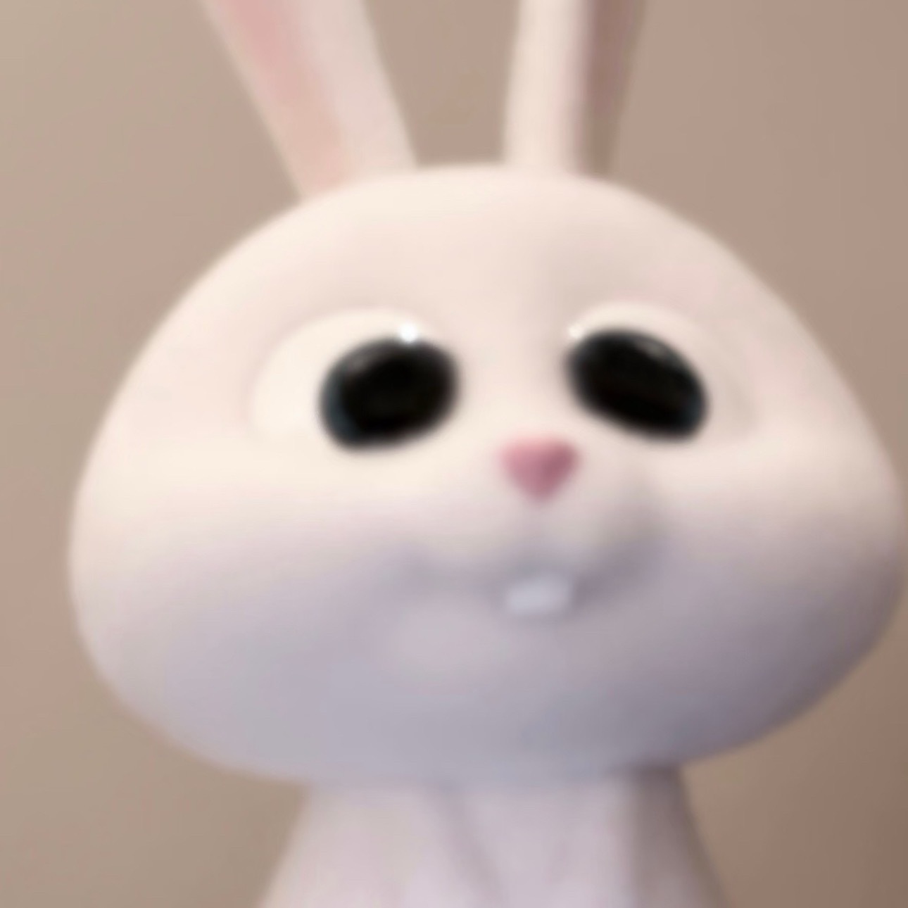 检查兔牙 ​​​