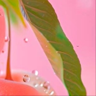 阳光信用  💫阳光信用  💫每日一善信任是人与人沟通的必要条件，人生之幸，莫