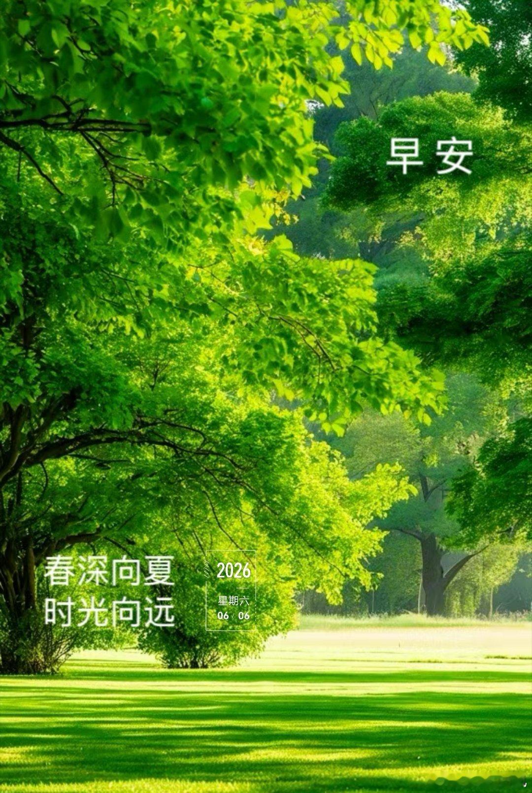 雨丝轻敲窗棂，周六早安呀，愿这晨雨洗去烦忧，带来清甜好心情🌧️ 北京