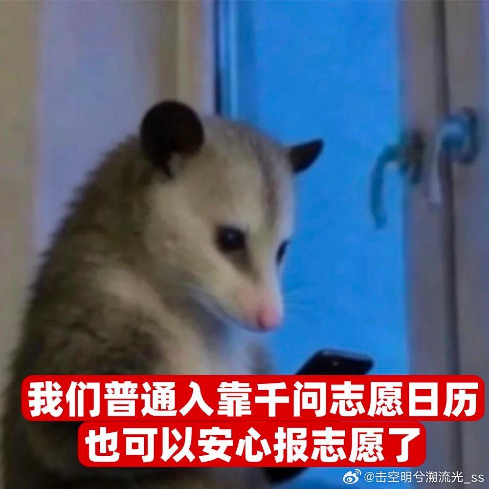 扛楼妈妈扛起孩子的大学梦 云姐没读过多少书，却为了女儿学用千问建档看志愿报告，这