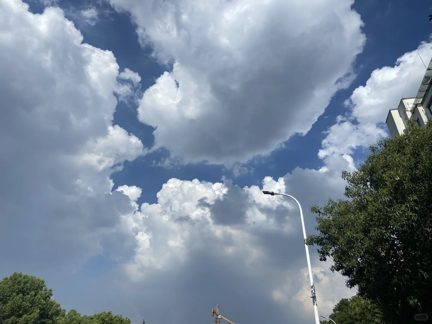 高温红色雷电黄色双预警，上海局地要下开水