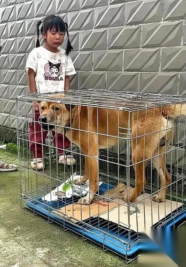 桂林这事儿

真的看哭我

我还是头回见做买卖主动亏200的。

本来老奶奶凑活