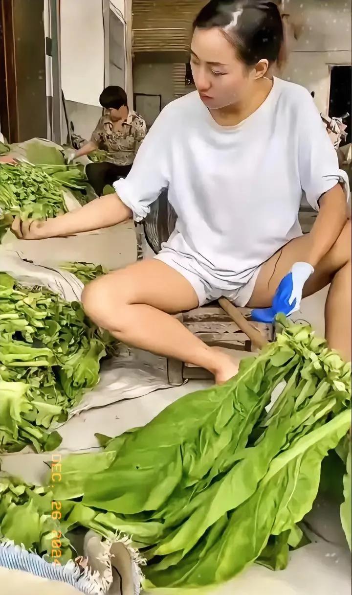 一户烟农正在凉晒自家产的烟草，烟草应该属于经济作物，种植它也是为了维持生活。
有