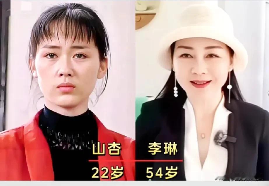1993年电视剧《躺过男人河的女人》演员今昔变化！