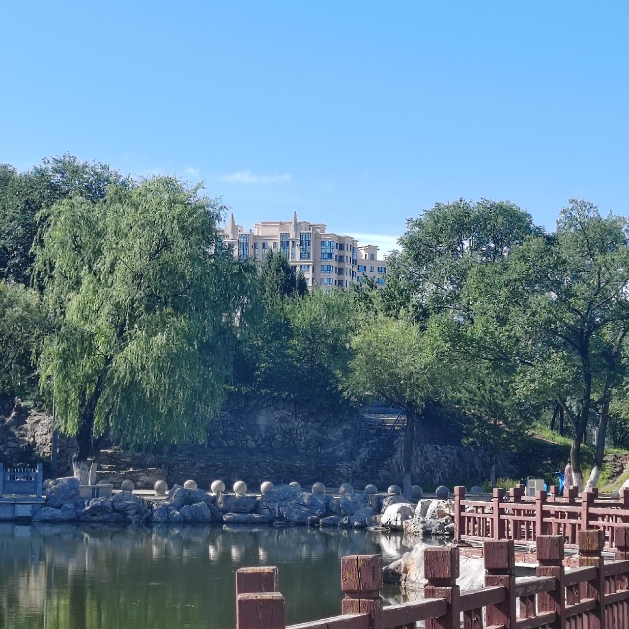 秋日逛公园，眼前还留着满满的绿意，看着特别舒心。湖水静静的，岸边柳树的枝叶依旧繁