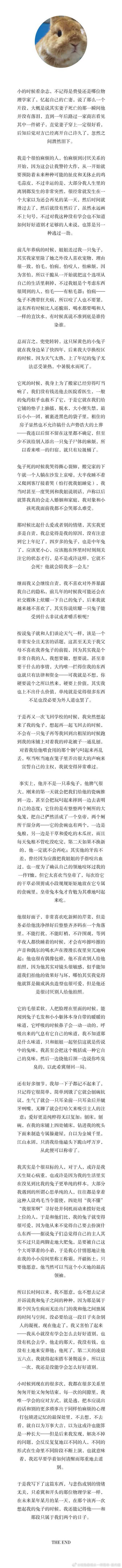 14058🐇🕯️【】家兔离开之后给它写的一篇文章[泪] ​​​