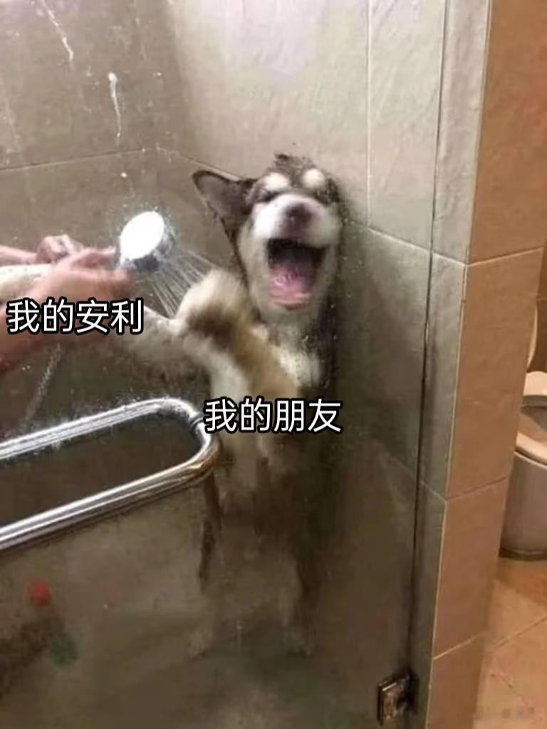 我向别人安利我担就这样看《低智商犯罪》瞬间共情，张一昂费劲求证却鸡同鸭讲，妥妥复
