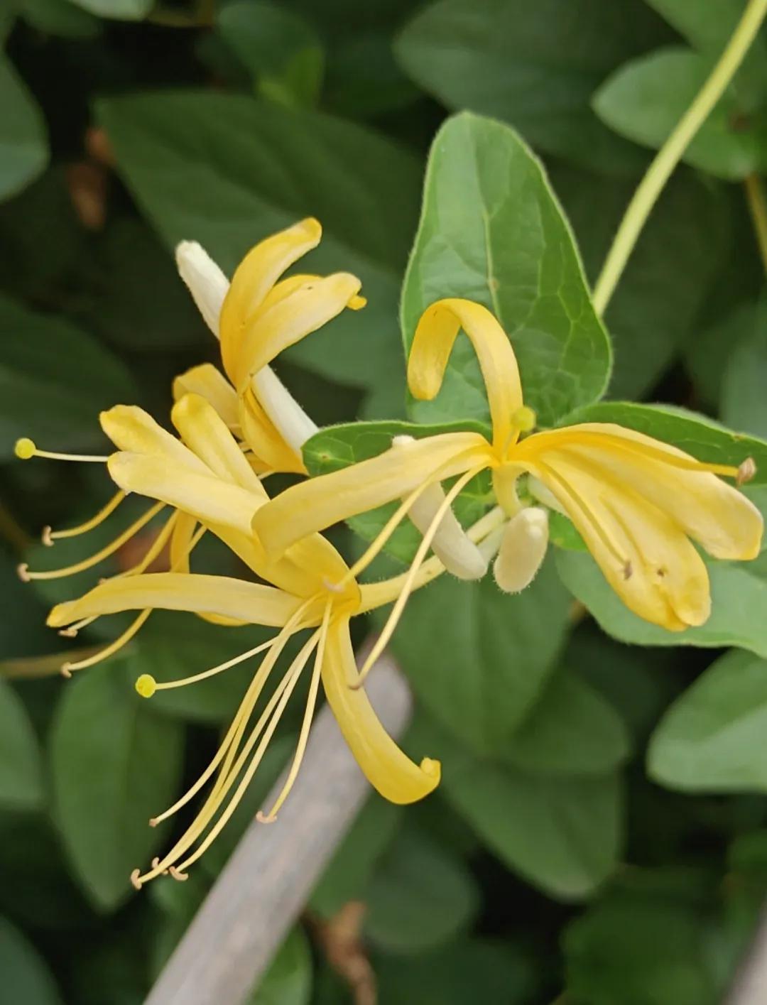 内蒙古旅游尽量不要去，一是公里收费，二是公里限速罚款多，三是没有优惠，体验感非常