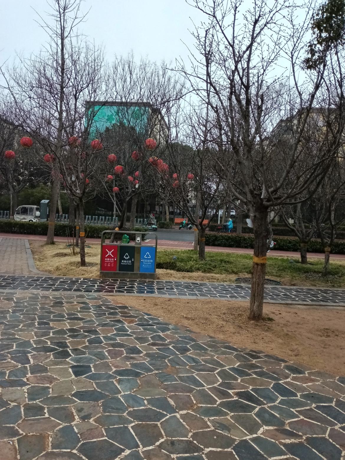 河南鹤壁，现在下起小雨啦🌧️
细细的雨丝飘落，空气湿润又清新，一扫之前的干燥。