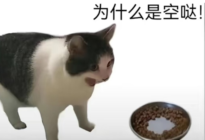 每天焦急等待罕哥消息，一上线的我be like 