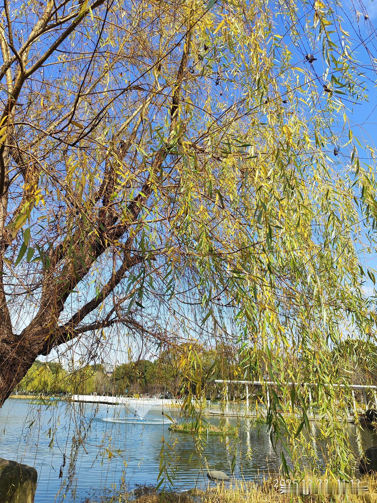 孩子的成长就像一部无法回放的电影，错过了就再也补不回来。新的一年，我打算每周至少