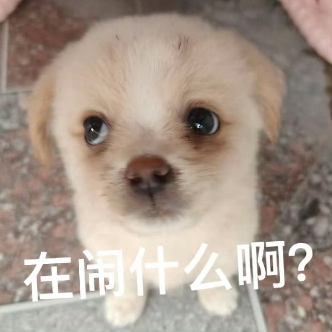 棍铲两口子大粉互相嘲笑对方正主各种舔张泽禹 而我呢 只看见了一个万人迷被骚扰的日